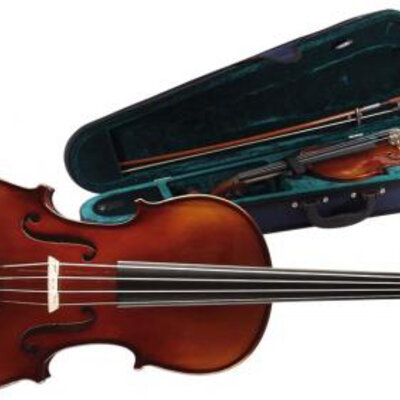 Stagg VN 4/4 školska violina