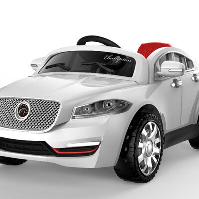 Automobil na akumulator 8118