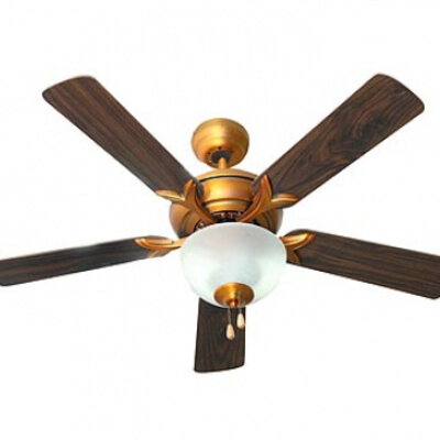 Plafonski luster ventilator FT 30G