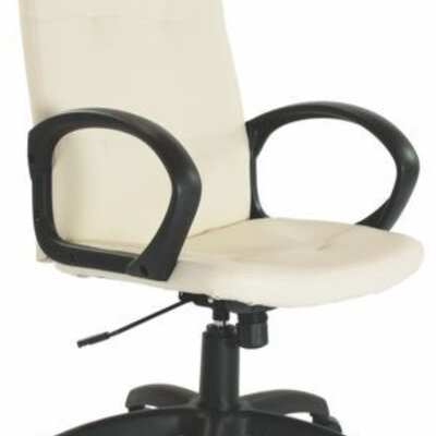 Radna stolica Florida AU