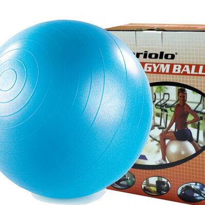 Lopta za pilates 65 cm 291358 Blue