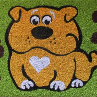 Otirač 40 x 60 cm Pas