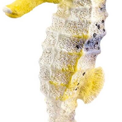 Schleich Divlje Životinje - Morski konjic 14725