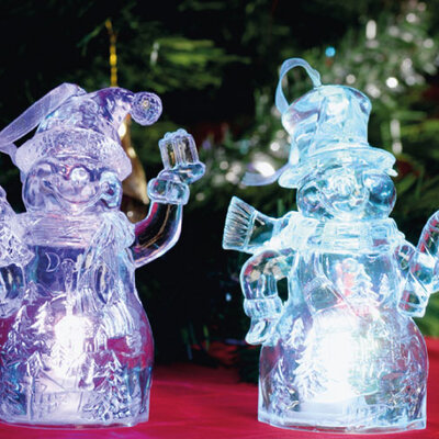 LED Sneško Belić pakovanje 2 kom CDM2/T