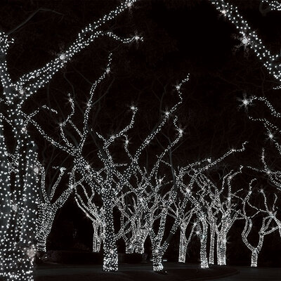 Novogodišnje Lampice LED Za Spoljnu ili Unutrašnju Upotrebu 5 plus 5  m KDK 202