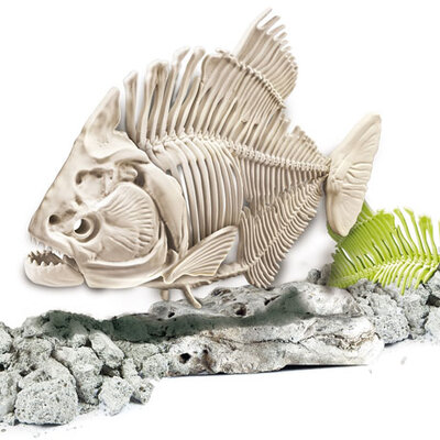 Clementoni skelet pirane iz praistorije 