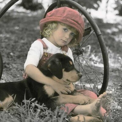 Ravensburger slagalica My Little Friend 500 delova 01-146048