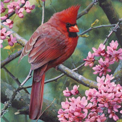 Ravensburger slagalica Springtime Cardinal 500 delova 01-146192