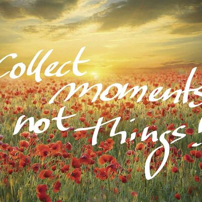 Ravensburger puzzle Collect Moments 1000 delova 01-195077