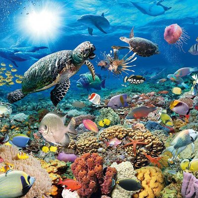 Ravensburger puzzle Beneath The Sea 5000 delova 01-174263