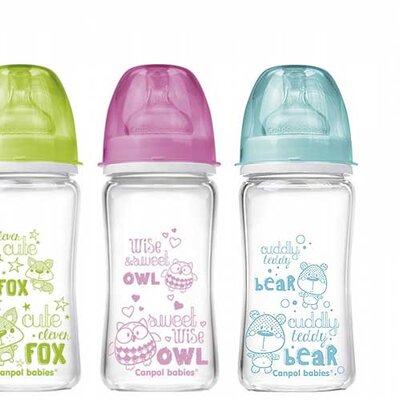 Canpol Staklena flašica za bebu EasyStart Anticolic 240ml Forest Friends 79/002