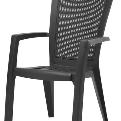 Baštenska stolica Joel