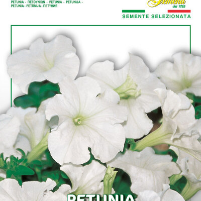 Cveće Petunija niska bela - seme 5 kesica Franchi Sementi Virimax