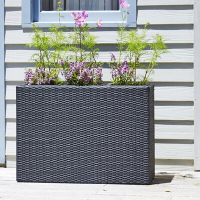 Saksija Trio 3 u 1 pletena