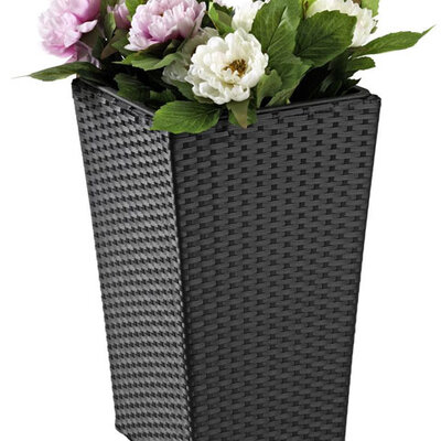 Visoka Saksija Od Ratana crna