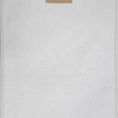 Mikrofiber kese za Karcher usisivač 5 komada Model 11