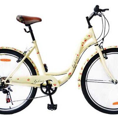 Bicikl cruiser Xplorer Camino 519