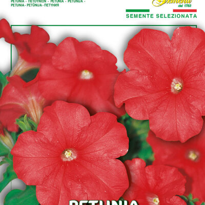 Cveće Petunija niska crvena - seme 10 kesica Franchi Sementi Virimax