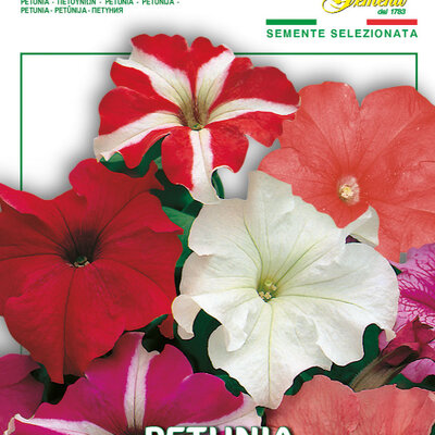 Cveće Petunija niska mix - seme 5 kesica Franchi Sementi Virimax
