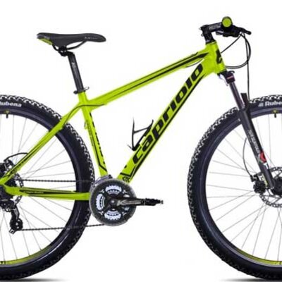 Bicikl Capriolo Level 9.3 914535-19