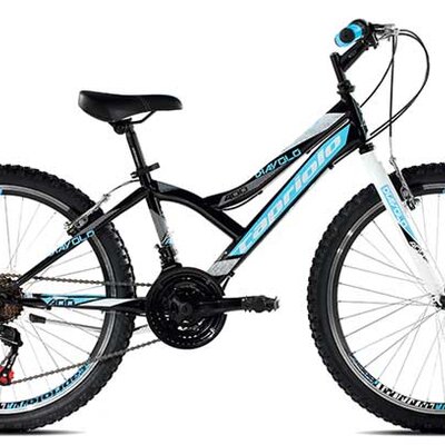 Dečiji bicikl Capriolo Diavolo 400 916302-13