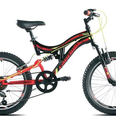 Dečiji bicikl Capriolo CTX 200 2016 916330-13