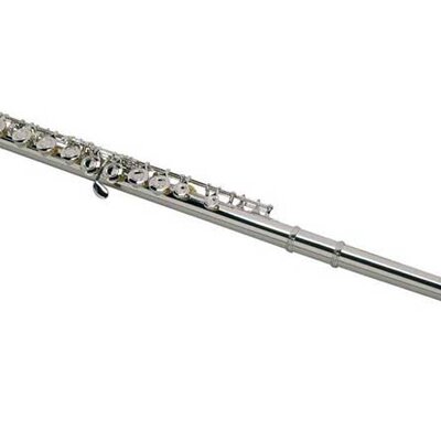 Flauta Belcanto BX-420