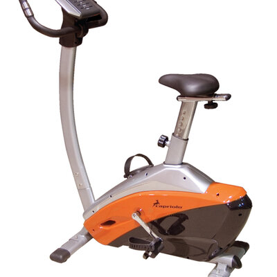 Magnetni bicikl 291002