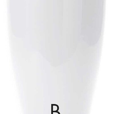 Saksija Evolution Gloss Tylus White