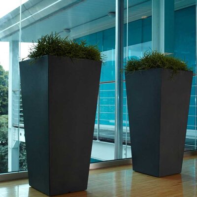 Visoka saksija Evolution Matt Eros 80cm Black