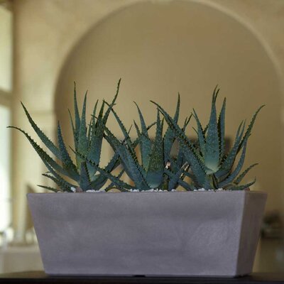 Žardinjera za bilje Evolution Matt Mysia 50cm Stone