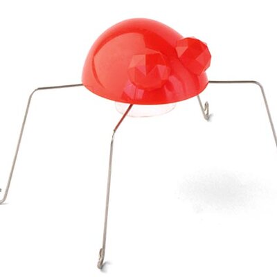 Nino the Jumping Bug 1501