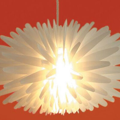 LittleBang - Black&Blum