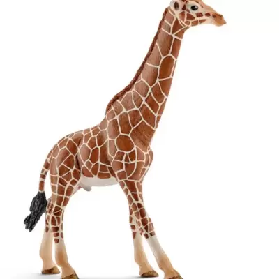 Schleich Divlje Životinje - Žirafa - mužjak