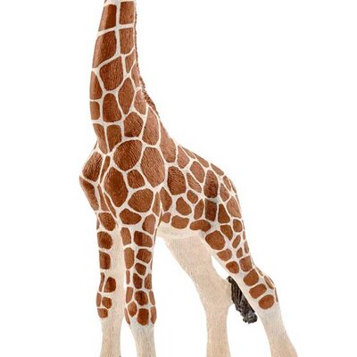 Schleich Divlje Životinje - Žirafa - mladunče