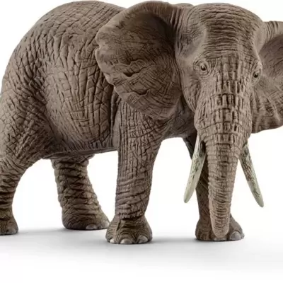 Schleich figurica - Divlje Životinje - Afrički slon - ženka