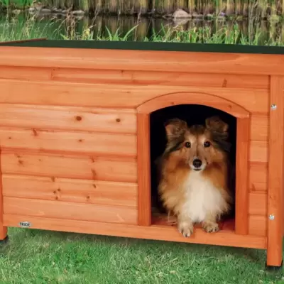 DVORIŠNE KUĆICE ZA PSE