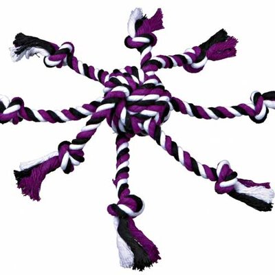 Igračka za pse Trixie Denta Fun lopta sa kanapima