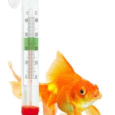 Trixie Analogni termometar za akvarijum sa držačem 8605