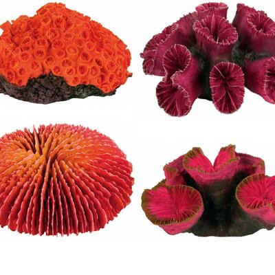 Trixie Dekoracija za akvarijum Set korala 8809