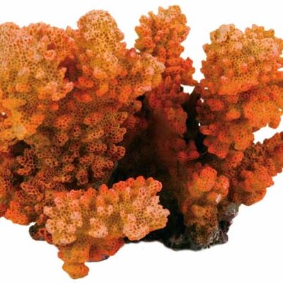 Trixie Dekoracija za akvarijum Koral 8838