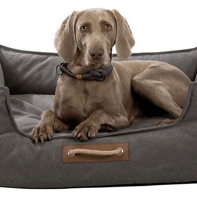 Trixie Krevet za psa 80cm Be Nordic Fohr Grey 37448