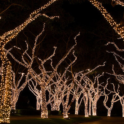 Toplo Bele Lampice LED Niz Za Spoljnu ili Unutrašnju Upotrebu