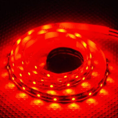 LED traka Crvena 60 Led/m 4.8W/m 5m kotur 3528R-60 020186