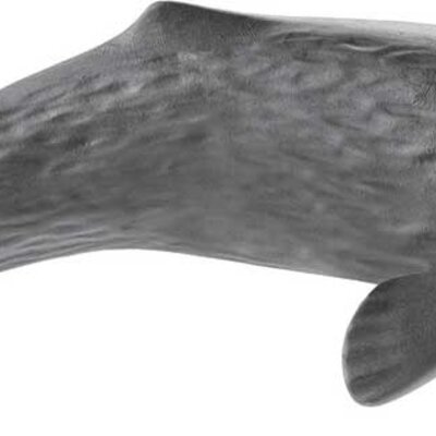 Schleich Figurice Divlje životinje - Kit ulješura 14764