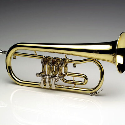 Lyra Flugelhorna FH100