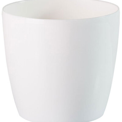 Saksija Stars 30 bela