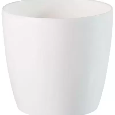 Saksija Stars 25 bela