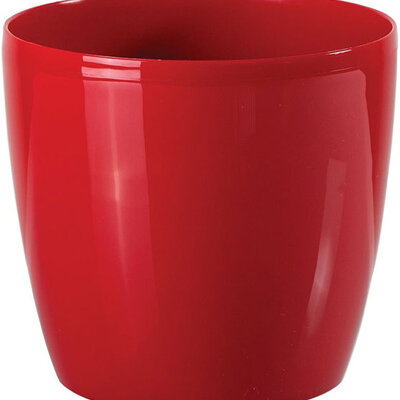 Saksija Stars 20 crvena