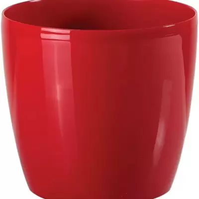 Saksija Stars 20 crvena